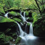 L'acqua, un bene comune gestito da privati