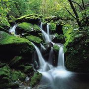 L’acqua, risorsa a termine