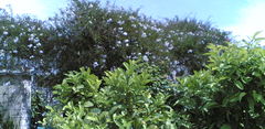 14052009(003).jpg